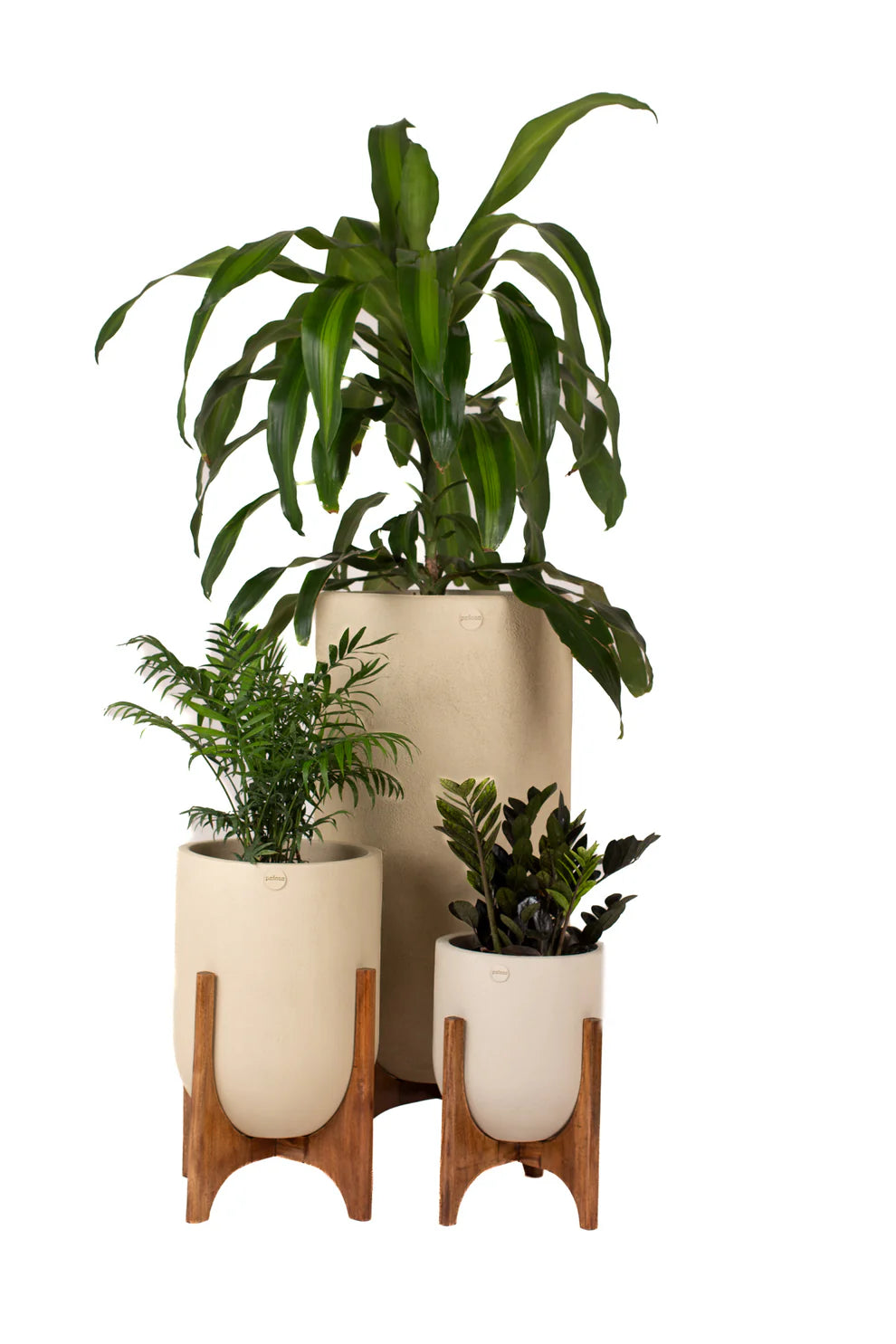 Lumera with Midi Wood Stand