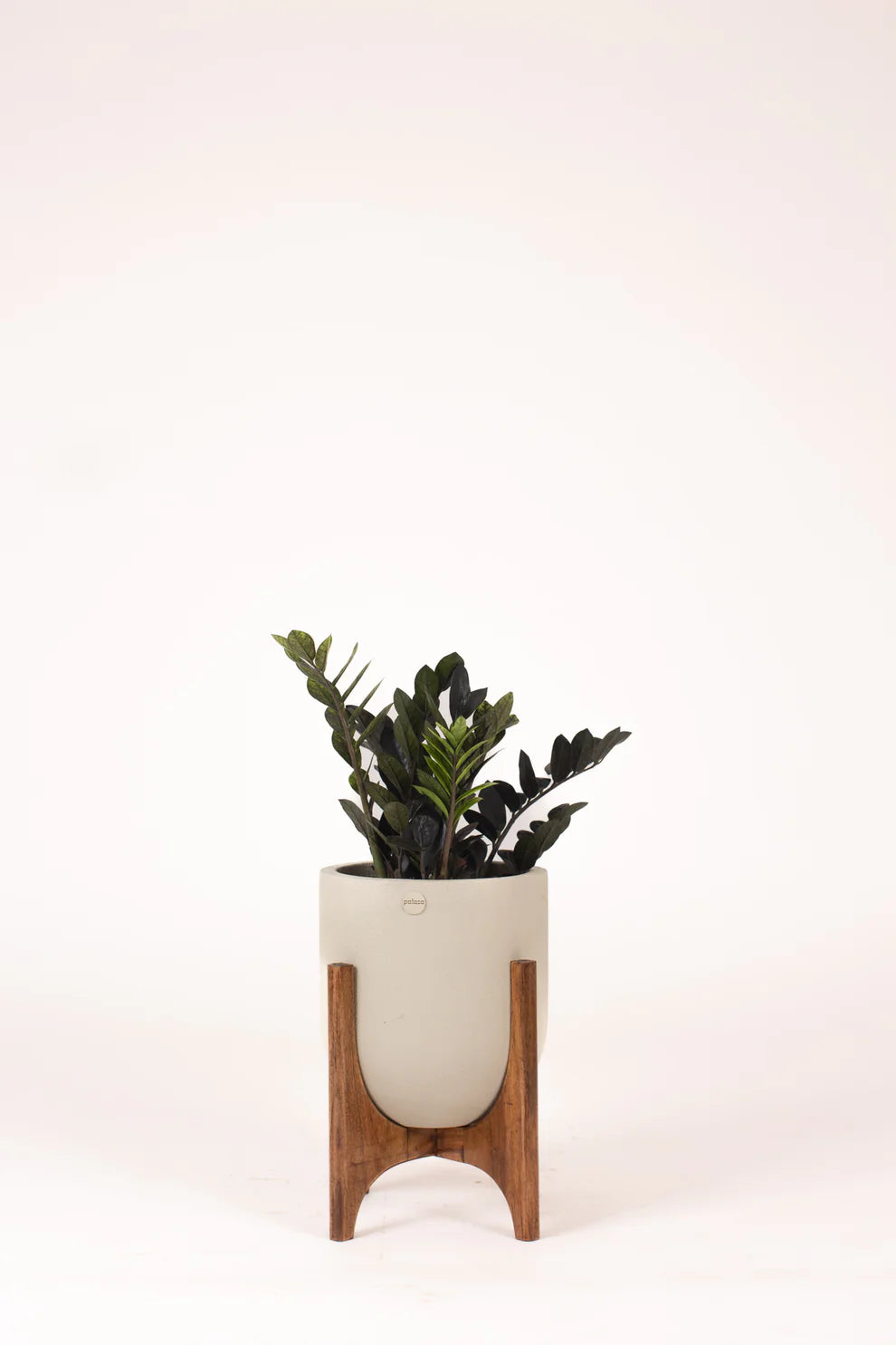 Lumera with Midi Wood Stand