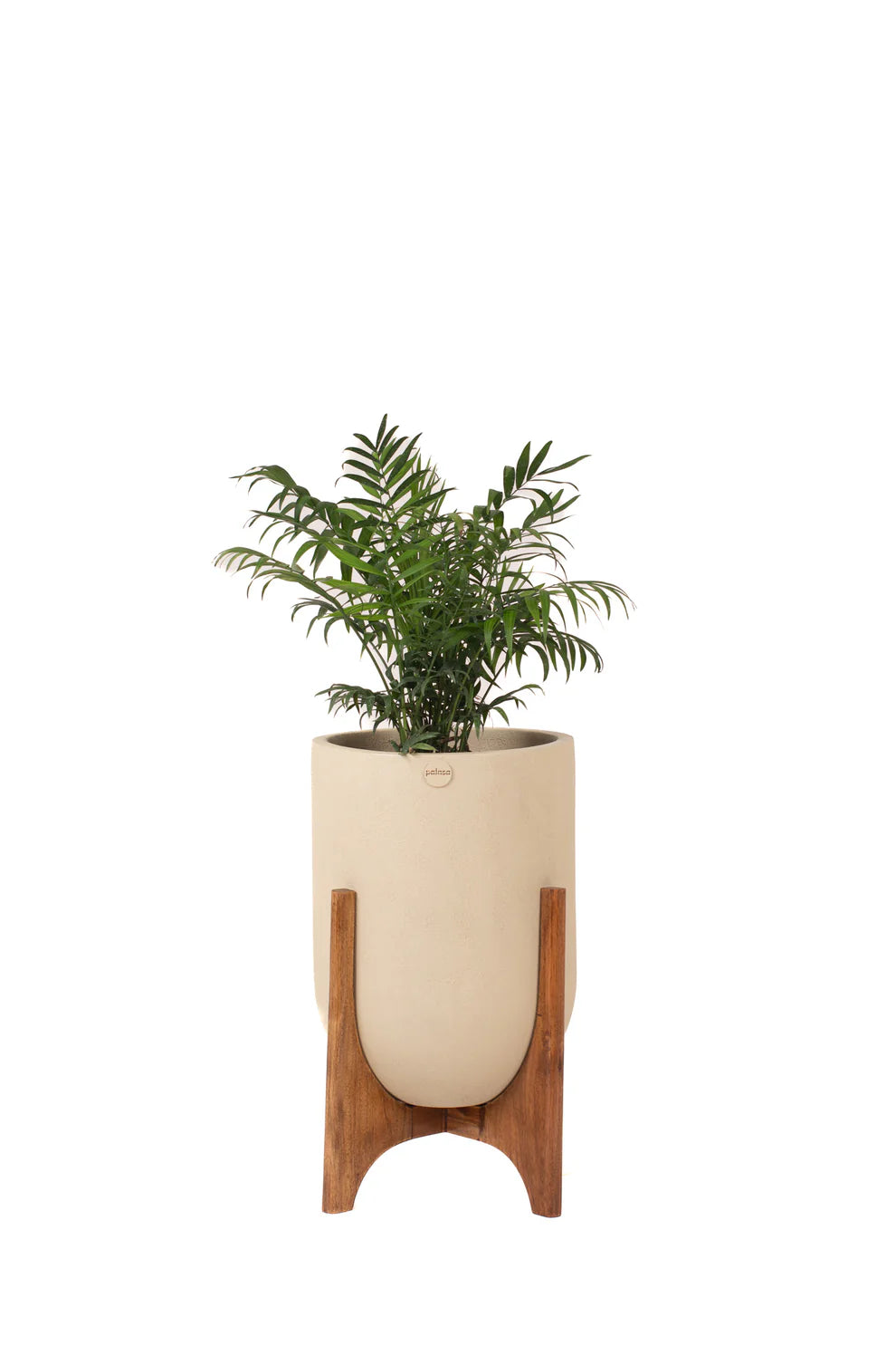 Lumera with Midi Wood Stand
