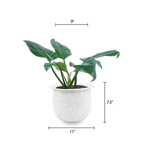 Calyra Round Desk - Coral Finish