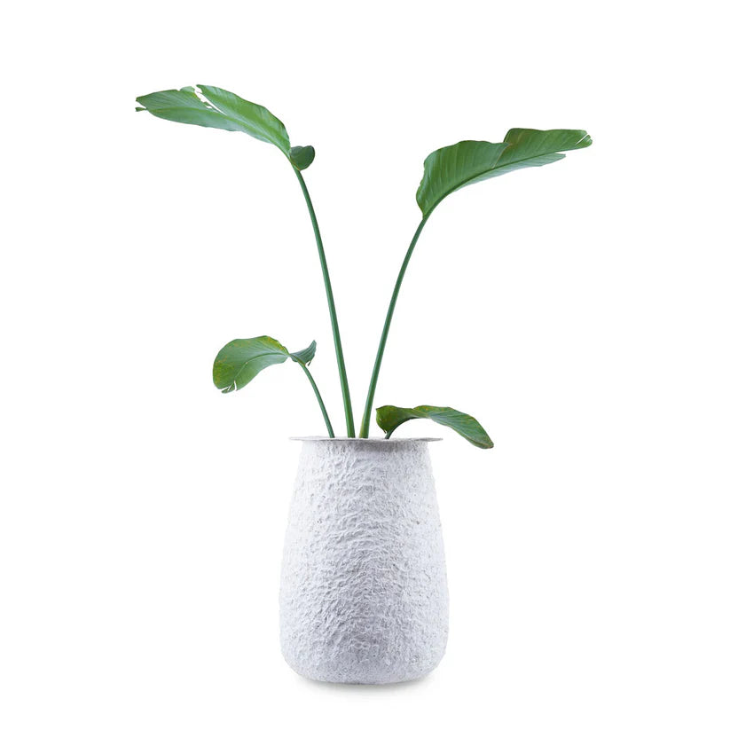 Noreli Round Planter White Coral Finish