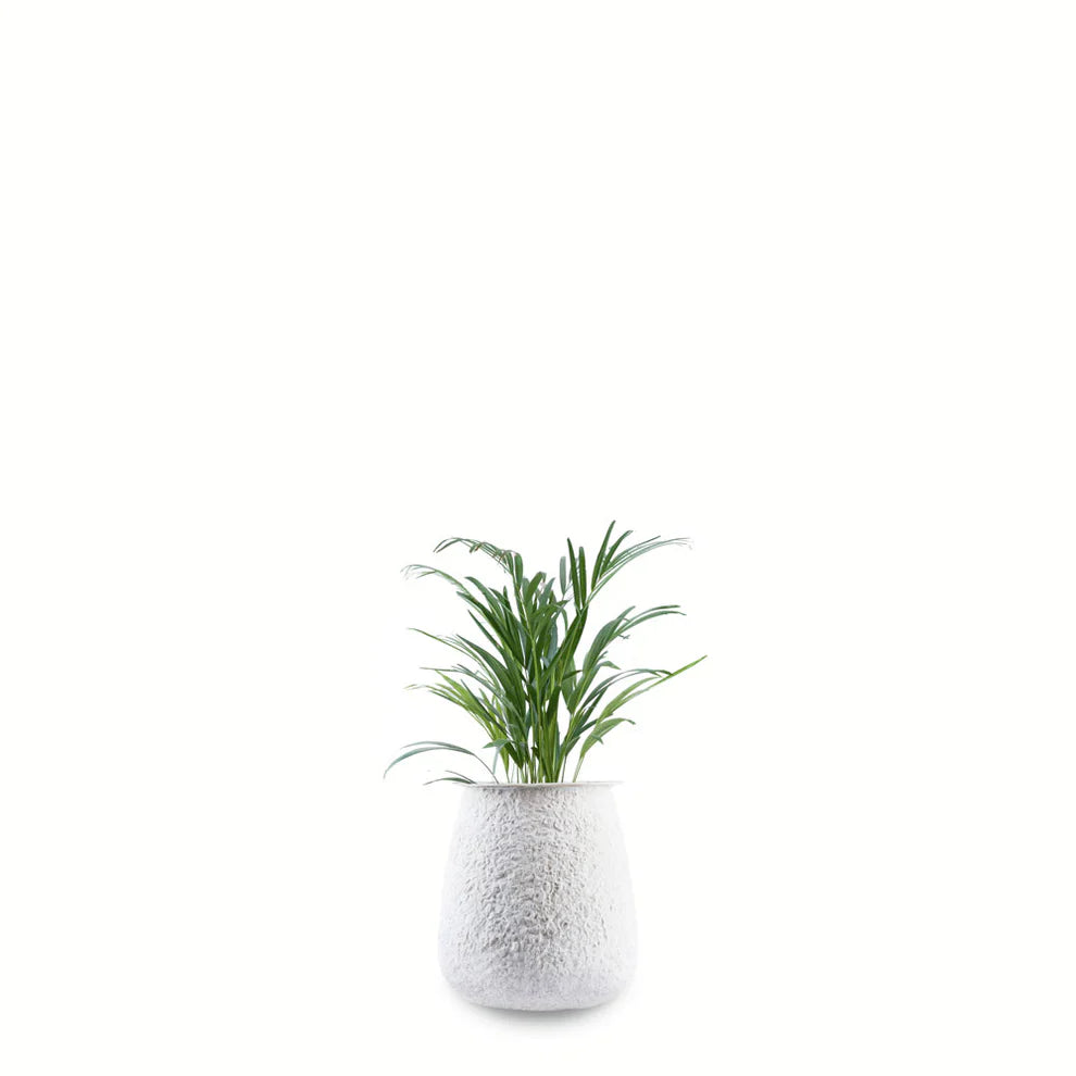 Noreli Round Planter White Coral Finish