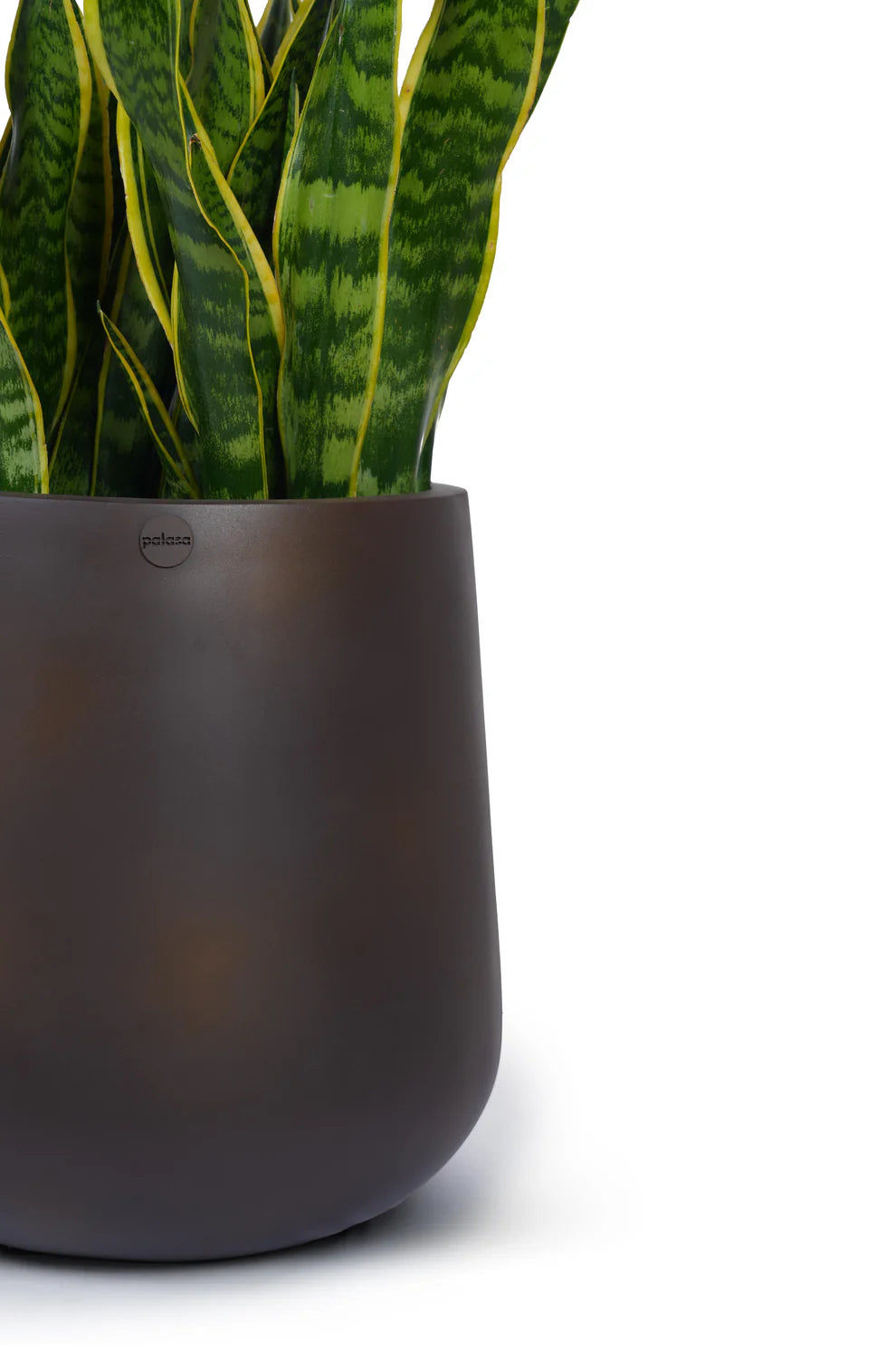 Orvani Medium Floor in Matt Brown