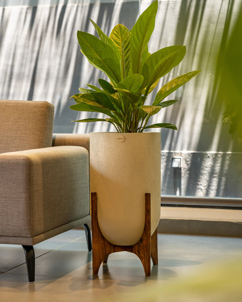 Lumera with Midi Wood Stand