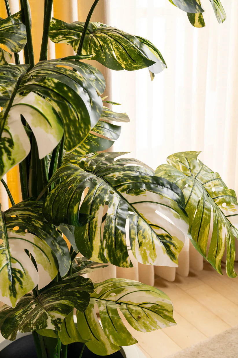 Faux Verigated Brielle