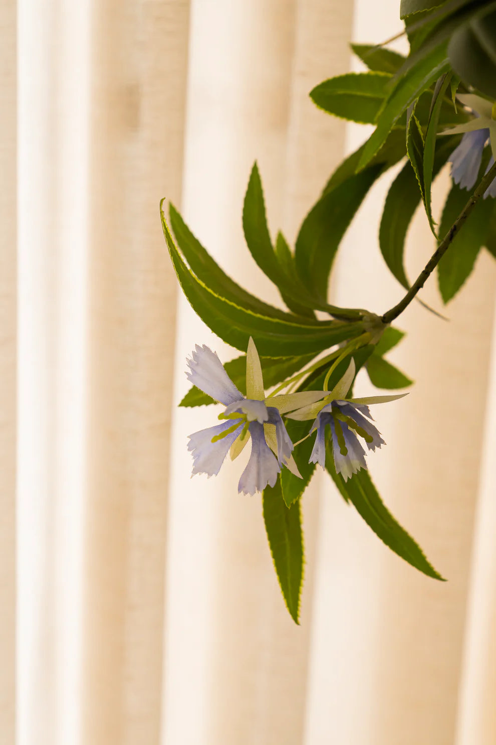 Faux Vexa with Blue Flowers