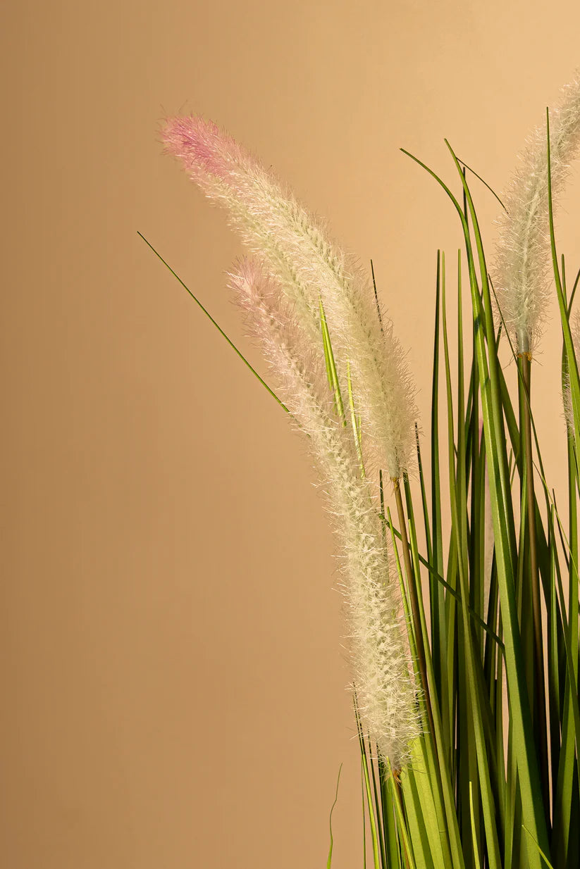Faux Maris Grass