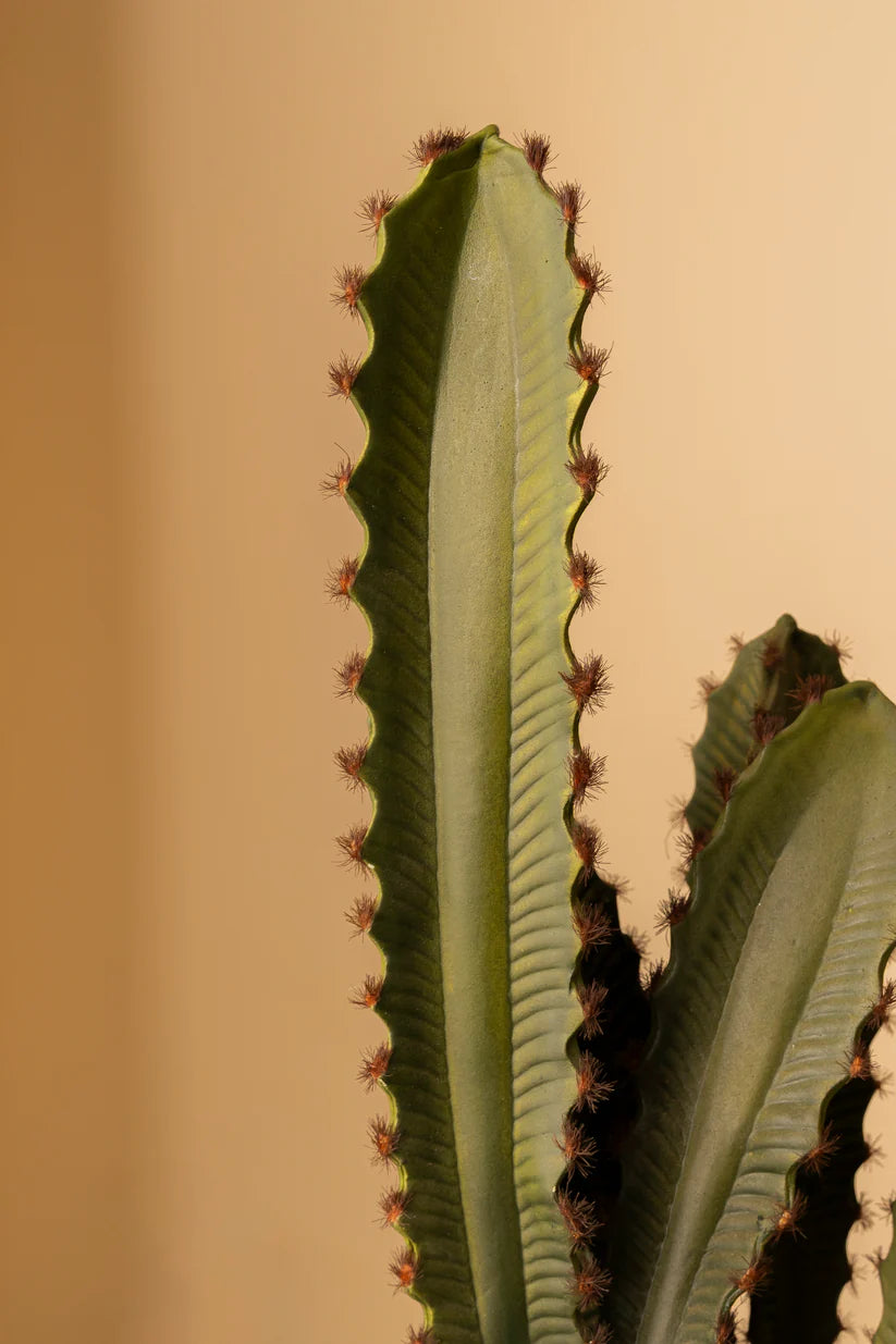 Faux Cactus Zuri
