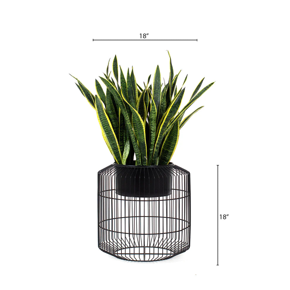 Varani Metal Circular