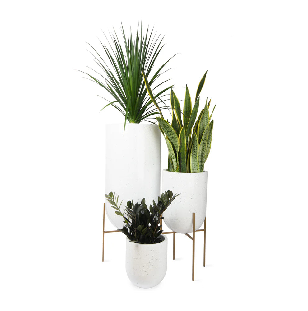 Selvaris with Metal Stand