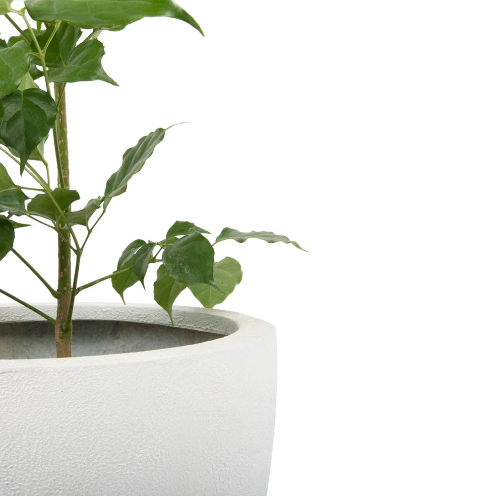 Talira White Indoor with Metal Stand