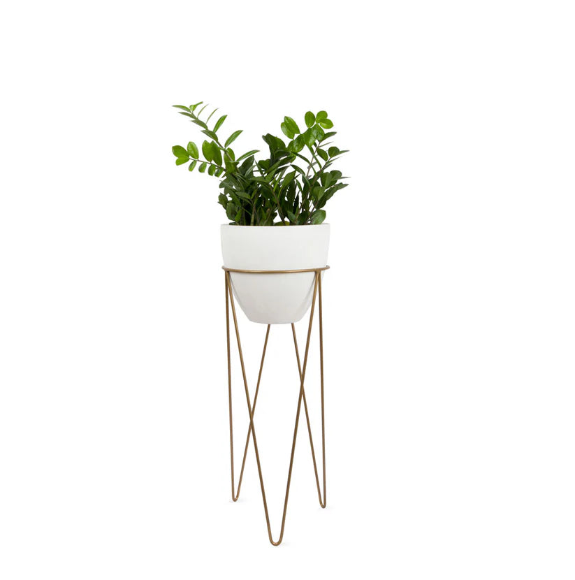 Talira White Indoor with Metal Stand
