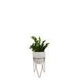 Talira White Indoor with Metal Stand